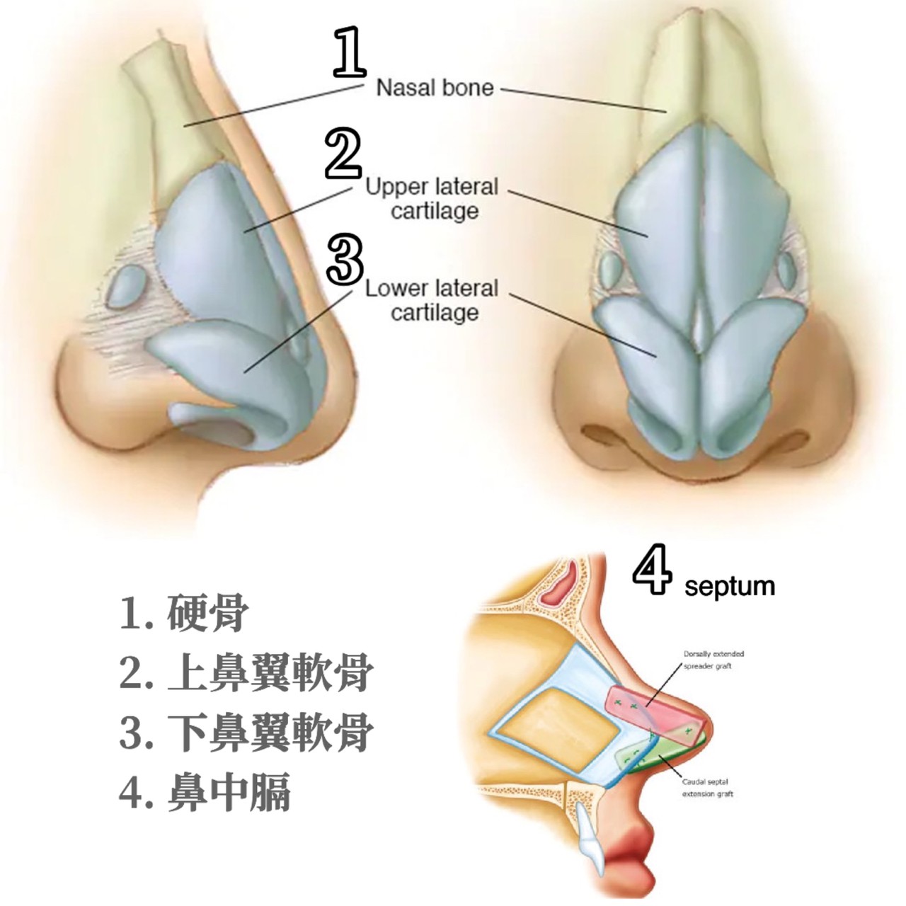 Dr Liu Blog-c3_1b