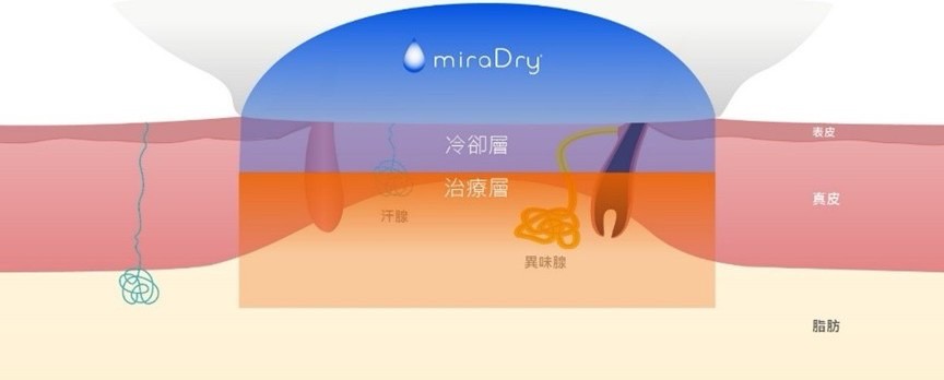 Dr Liu Blog-g7_b
